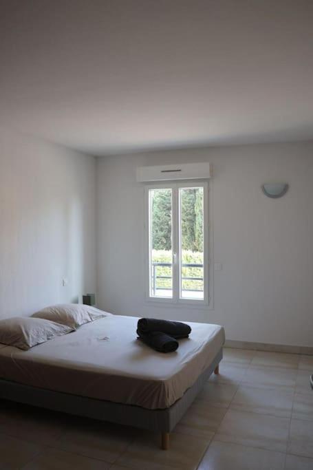 Suberbe Appartement Climatise Avec Terrasse Saint-Raphaël المظهر الخارجي الصورة